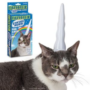 unicorn cat
