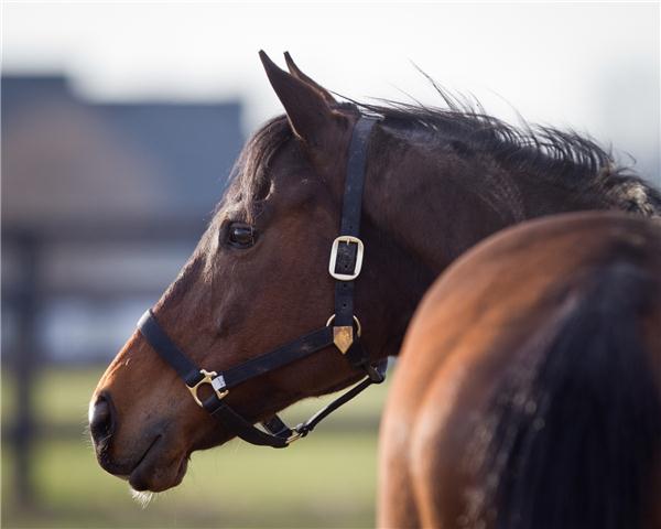 Ball-Four-by-Matt-Wooley2rsz_resized2012-7-25-15-23-768