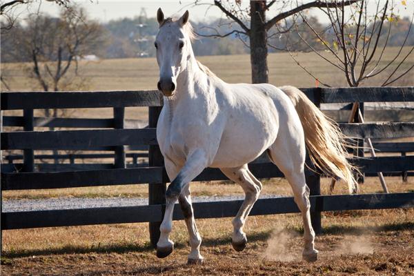 judgescase_10.22.10_ww-2155RSZ_resized2012-11-27-17-3-443