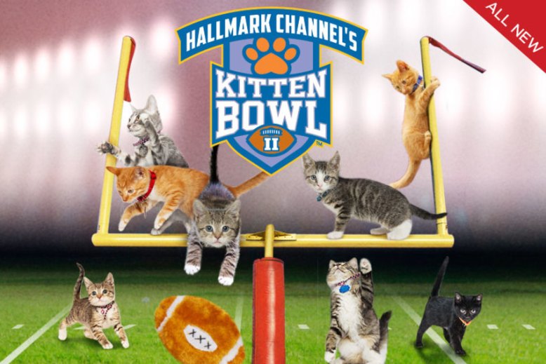 kitten bowl
